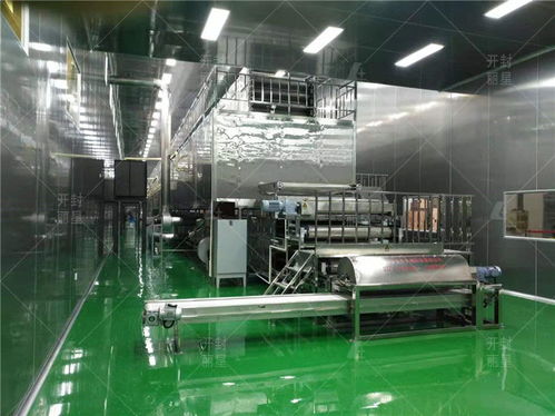 自動化粉條加工廠廠房及車間的核心生產條件解析